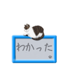 リアルふわ猫の磁気ボードでか文字日常（個別スタンプ：19）