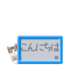 リアルふわ猫の磁気ボードでか文字日常（個別スタンプ：22）