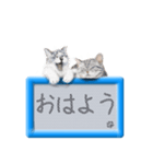 リアルふわ猫の磁気ボードでか文字日常（個別スタンプ：26）