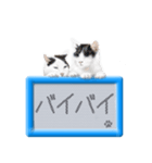 リアルふわ猫の磁気ボードでか文字日常（個別スタンプ：30）