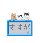 リアルふわ猫の磁気ボードでか文字日常（個別スタンプ：31）