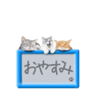 リアルふわ猫の磁気ボードでか文字日常（個別スタンプ：33）