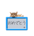 リアルふわ猫の磁気ボードでか文字日常（個別スタンプ：34）