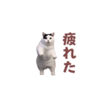 動く！踊る猫ミーム！(パート8)（個別スタンプ：12）