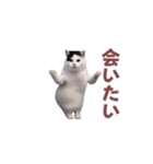 動く！踊る猫ミーム！(パート8)（個別スタンプ：16）