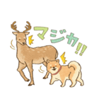 可愛い柴犬のダジャレスタンプ（個別スタンプ：34）