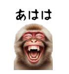 リアル猿【BIGスタンプ】（個別スタンプ：1）