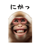 リアル猿【BIGスタンプ】（個別スタンプ：11）