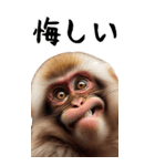 リアル猿【BIGスタンプ】（個別スタンプ：12）