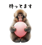 リアル猿【BIGスタンプ】（個別スタンプ：21）