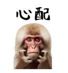 リアル猿【BIGスタンプ】（個別スタンプ：23）