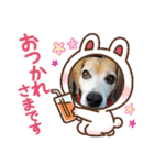 いっぱいももちゃん（個別スタンプ：8）
