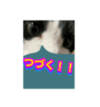 いろいろ✖️カオス✖️ネコ✖️パート4（個別スタンプ：40）