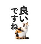 【デカ文字BIG】猫写真の敬語スタンプ.（個別スタンプ：4）