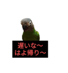 母と娘の日常会話 LINE（個別スタンプ：1）