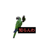 母と娘の日常会話 LINE（個別スタンプ：2）