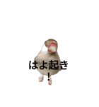 母と娘の日常会話 LINE（個別スタンプ：4）