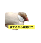 母と娘の日常会話 LINE（個別スタンプ：5）