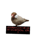 母と娘の日常会話 LINE（個別スタンプ：6）