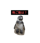 母と娘の日常会話 LINE（個別スタンプ：7）