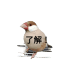 母と娘の日常会話 LINE（個別スタンプ：8）