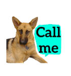 【英語版】ジャーマンシェパード犬（個別スタンプ：2）