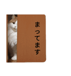 ねこねこにゃんこねこ（個別スタンプ：14）