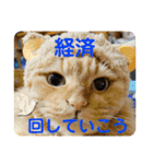 愛すべきふうと茶々（個別スタンプ：16）