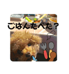 かなり使える しゃもじくんスタンプ（個別スタンプ：7）