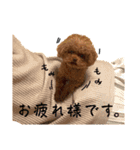 かなり使える しゃもじくんスタンプ（個別スタンプ：13）