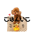 かなり使える しゃもじくんスタンプ（個別スタンプ：22）