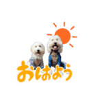 りきやとちくわ（個別スタンプ：1）