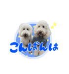りきやとちくわ（個別スタンプ：3）