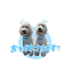りきやとちくわ（個別スタンプ：4）