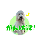 りきやとちくわ（個別スタンプ：5）