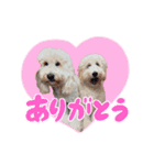 りきやとちくわ（個別スタンプ：6）