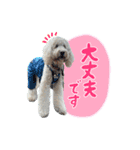 りきやとちくわ（個別スタンプ：8）