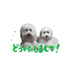 りきやとちくわ（個別スタンプ：9）
