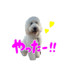 りきやとちくわ（個別スタンプ：10）