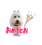 りきやとちくわ（個別スタンプ：11）