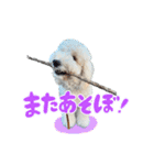 りきやとちくわ（個別スタンプ：12）