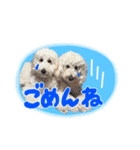 りきやとちくわ（個別スタンプ：13）