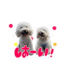 りきやとちくわ（個別スタンプ：14）