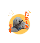 りきやとちくわ（個別スタンプ：15）