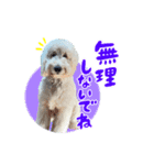 りきやとちくわ（個別スタンプ：16）