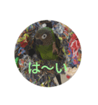 我が子へメッセージ（個別スタンプ：2）