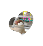 我が子へメッセージ（個別スタンプ：3）