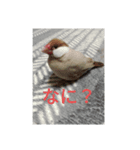 我が子へメッセージ（個別スタンプ：4）