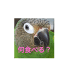 我が子へメッセージ（個別スタンプ：6）