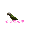 我が子へメッセージ（個別スタンプ：9）